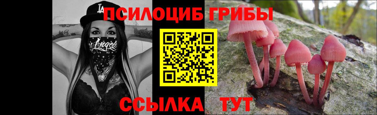 Жуковский  Псилоцибиновые грибы Cubensis  Вход с VPN 